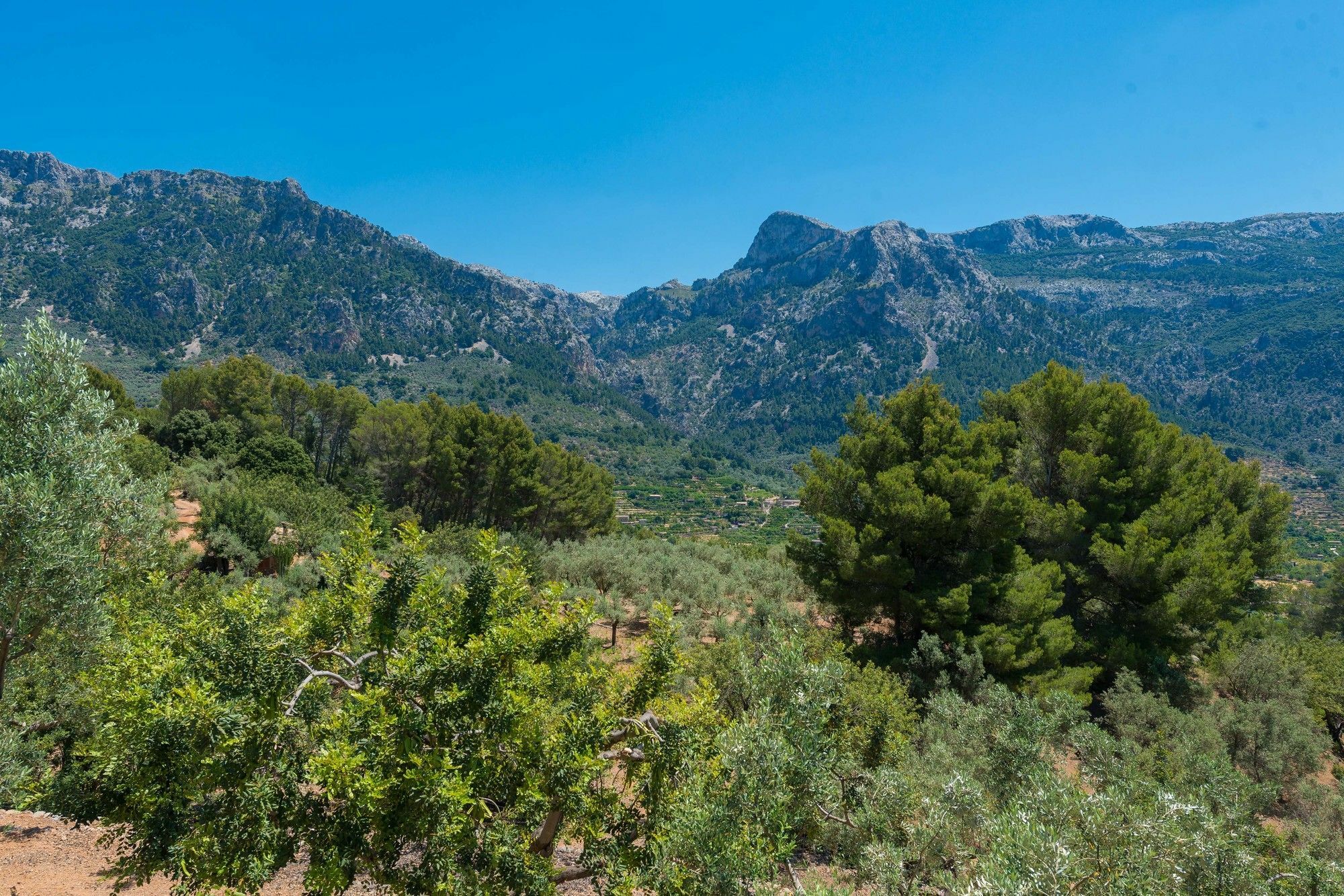 Villa Son Bou Sóller Exterior foto